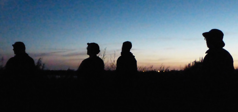 stodmarsh stodmarsh